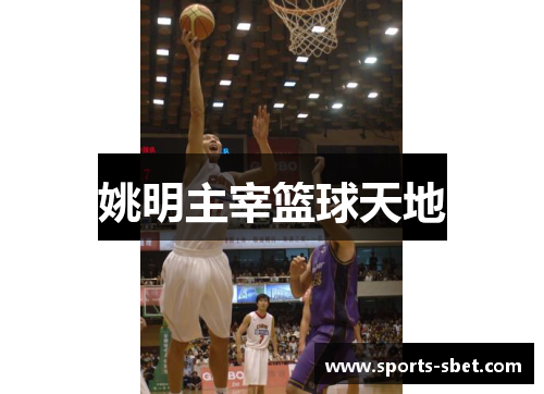 姚明主宰篮球天地