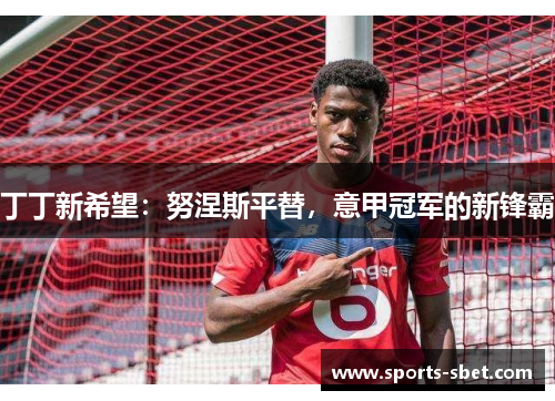 丁丁新希望：努涅斯平替，意甲冠军的新锋霸